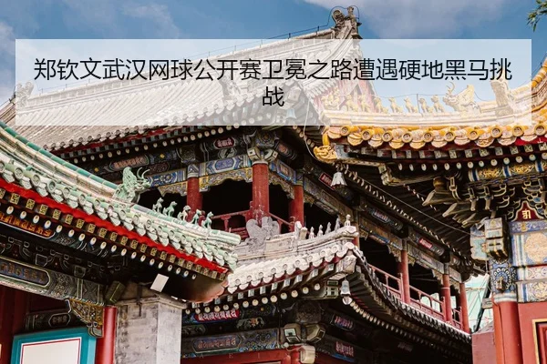 zheng-qin-wen-wu-han-wang-qiu-gong-kai-sai-wei-mian-zhi-lu-zao-yu-ying-di-hei-ma-tiao-zhan-3-249.jpg